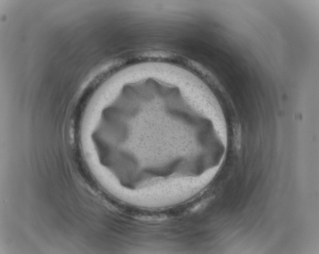 X0000082740731200702240012