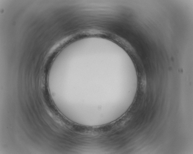 X0000082740732200702240012