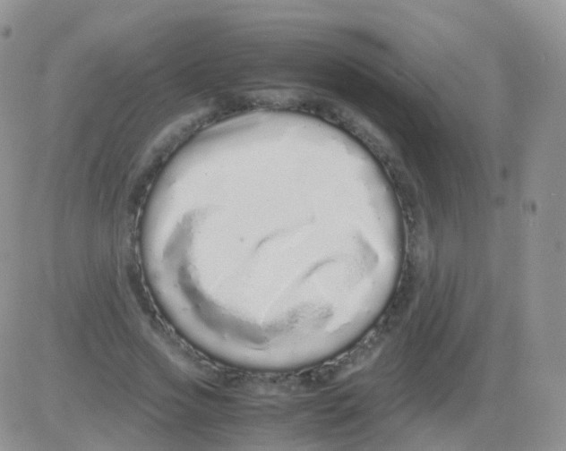 X0000082740733200702240012