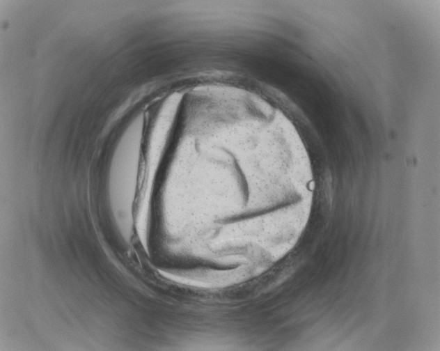 X0000082740734200702240012