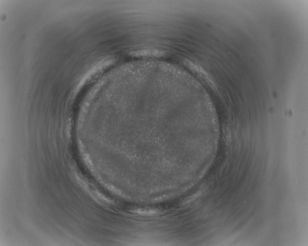 X0000082740735200702240012