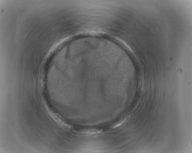 X0000082740736200702240012