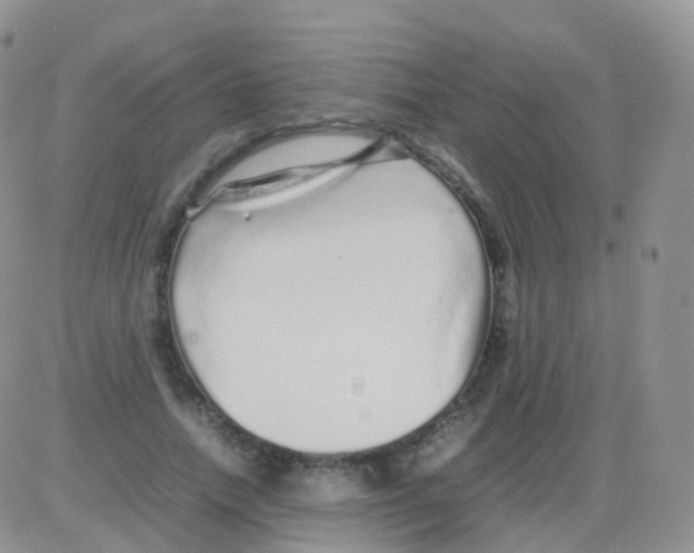 X0000082740738200702240012