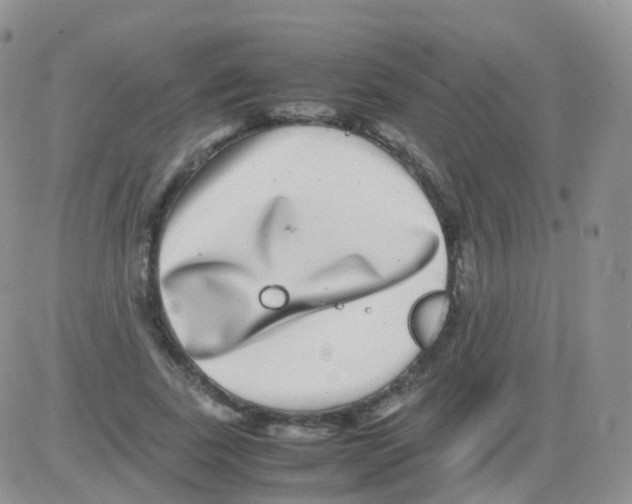 X0000082740739200702240012