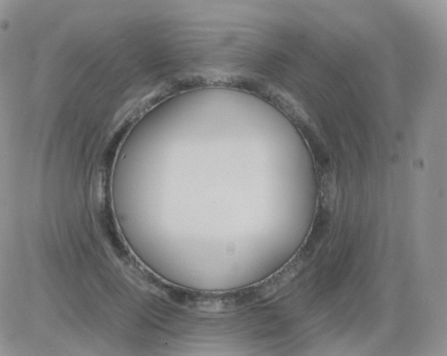 X0000082740740200702240012