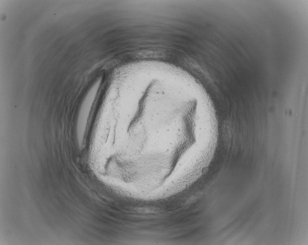 X0000082740741200702240012