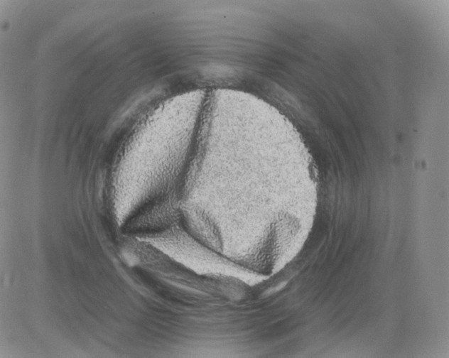 X0000082740742200702240012