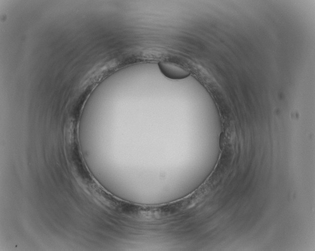 X0000082740744200702240012