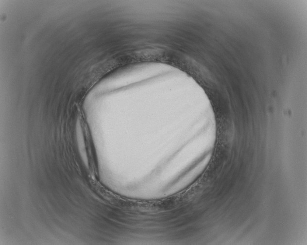 X0000082740745200702240012