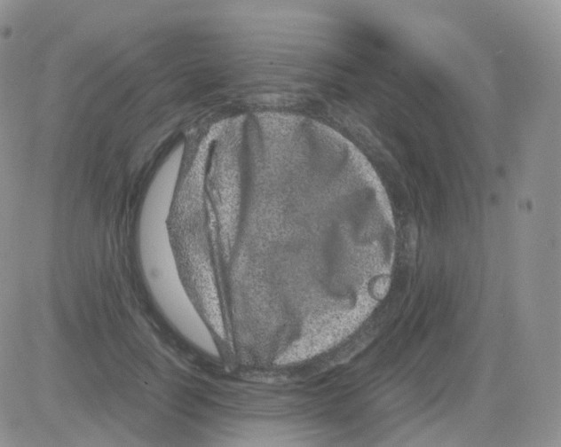 X0000082740746200702240012