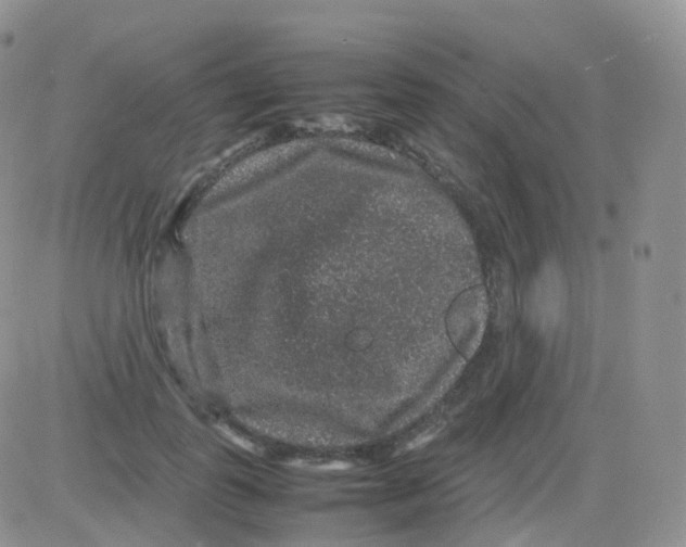 X0000082740747200702240012