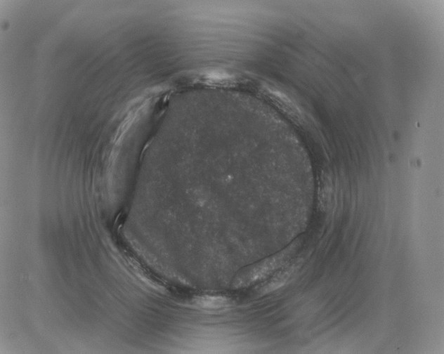 X0000082740748200702240012