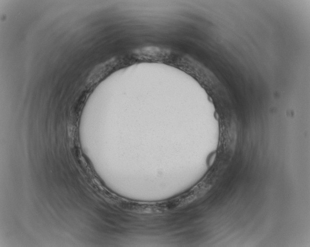 X0000082740749200702240012