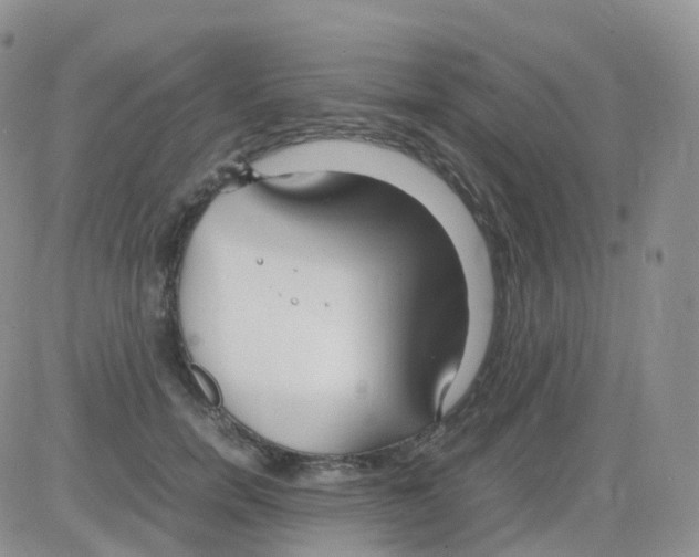 X0000082740750200702240012