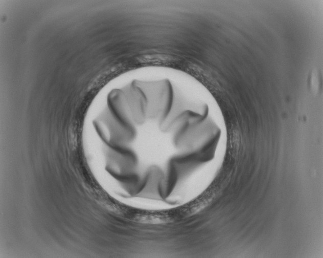 X0000082740751200702240012