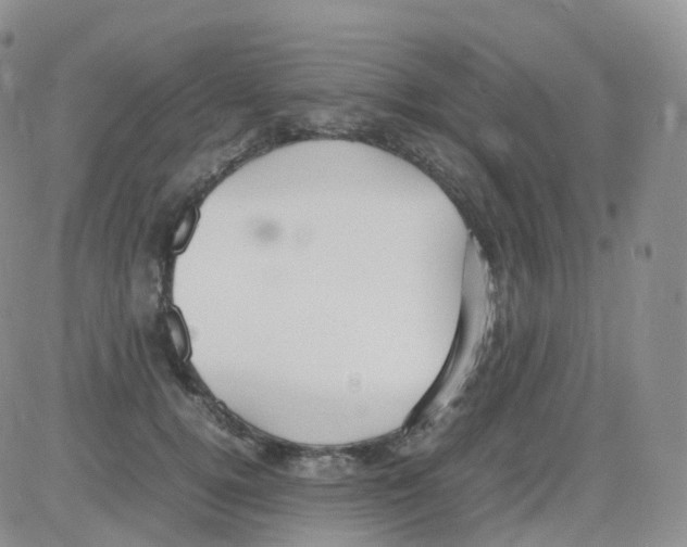 X0000082740752200702240012