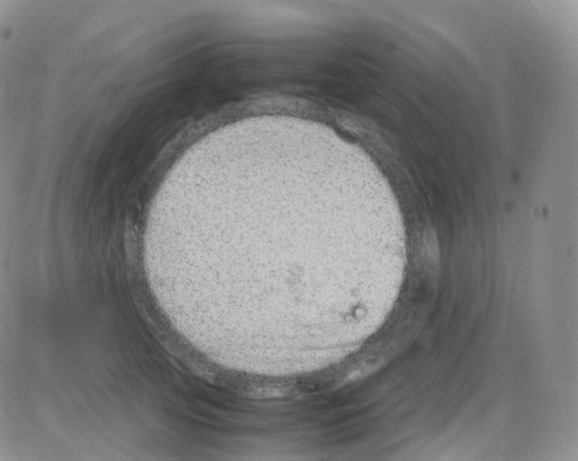 X0000082740753200702240012