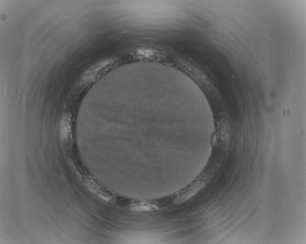 X0000082740754200702240012