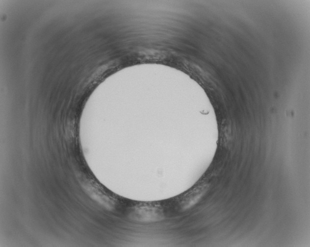 X0000082740756200702240012