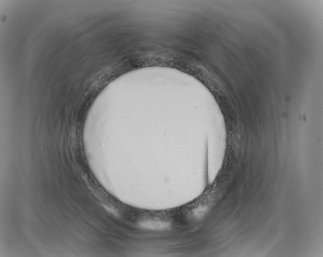 X0000082740757200702240013