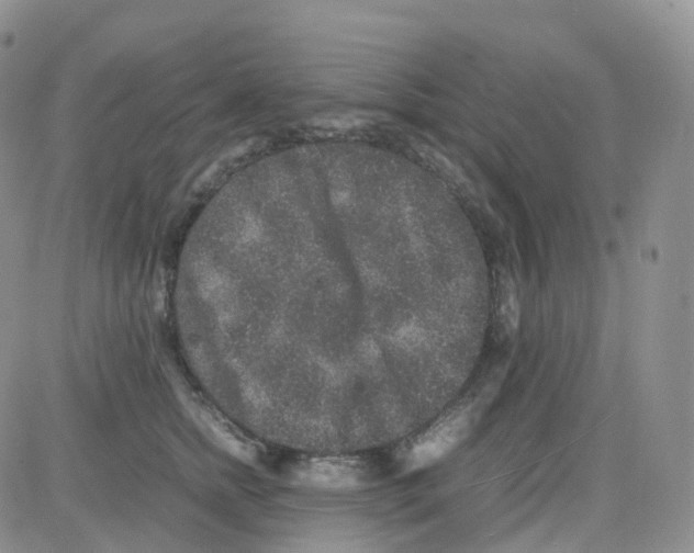 X0000082740758200702240013