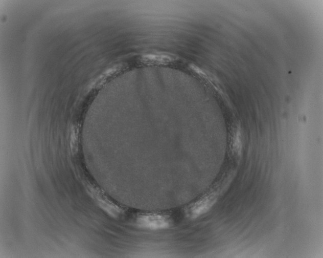 X0000082740759200702240013