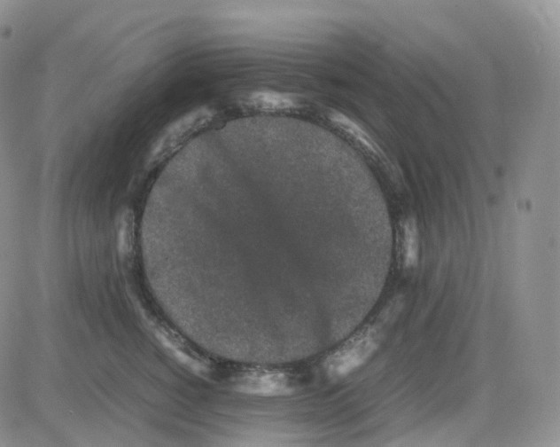 X0000082740760200702240013