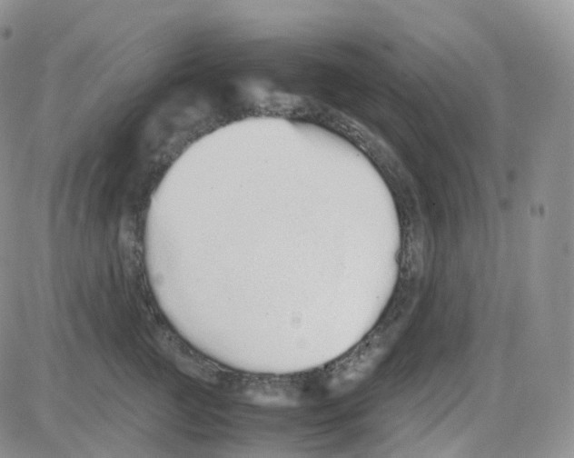 X0000082740761200702240013