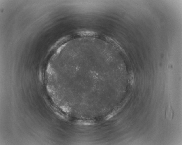 X0000082740763200702240013