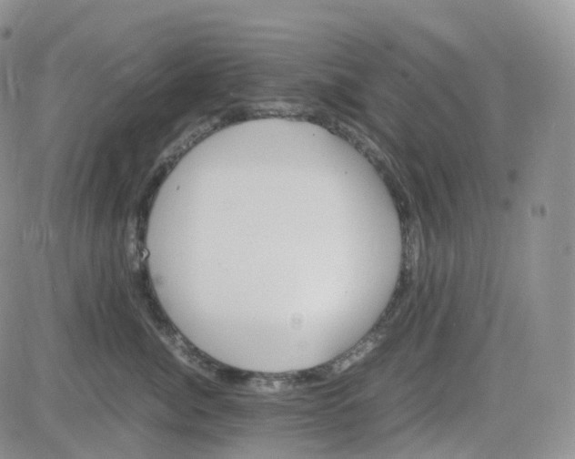 X0000082740764200702240013