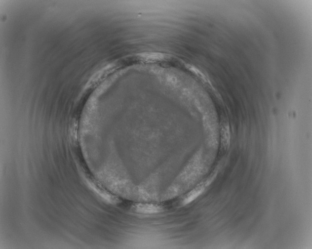 X0000082740766200702240013