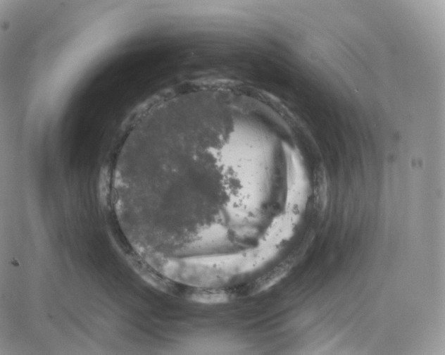 X0000082740767200702240013