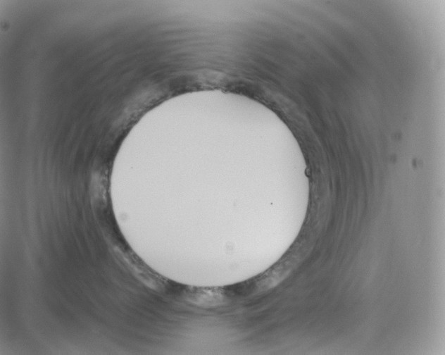 X0000082740768200702240013