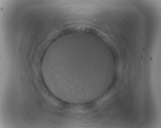 X0000082740769200702240012