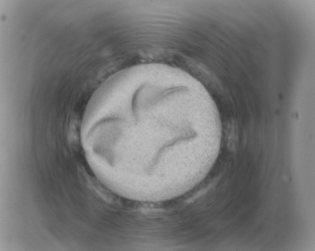 X0000082740770200702240012