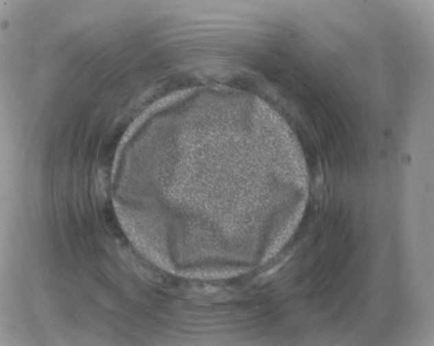 X0000082740772200702240012