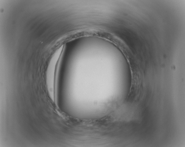 X0000082740773200702240012