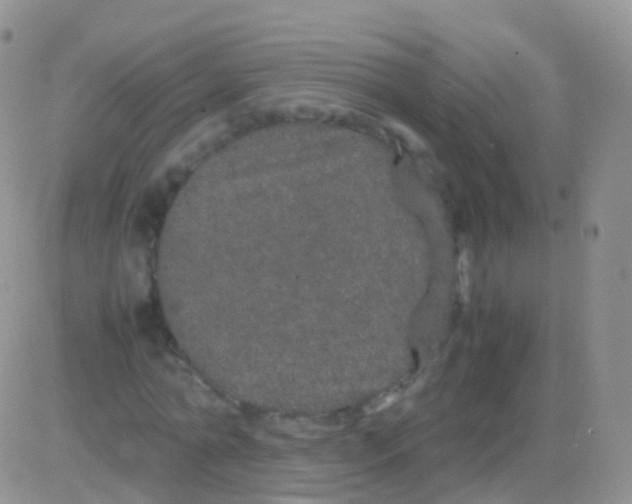 X0000082740774200702240012