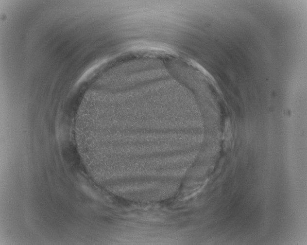 X0000082740775200702240012