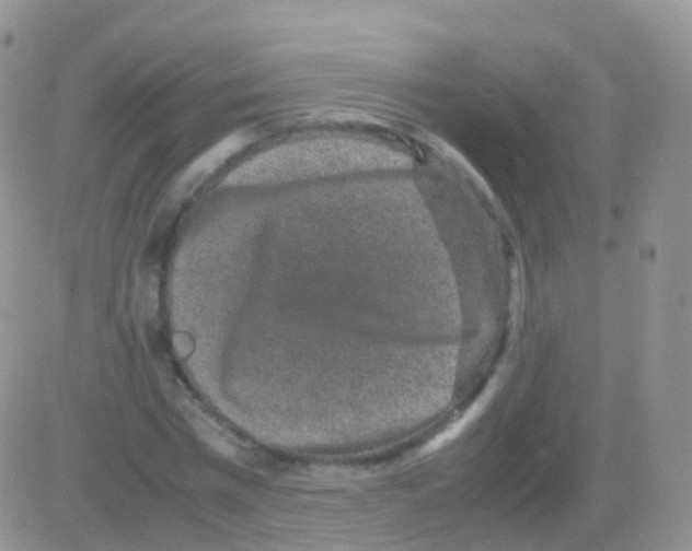 X0000082740777200702240012