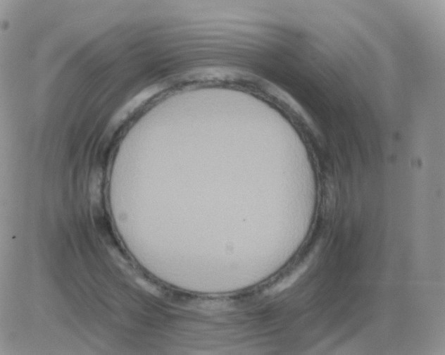 X0000082740778200702240012