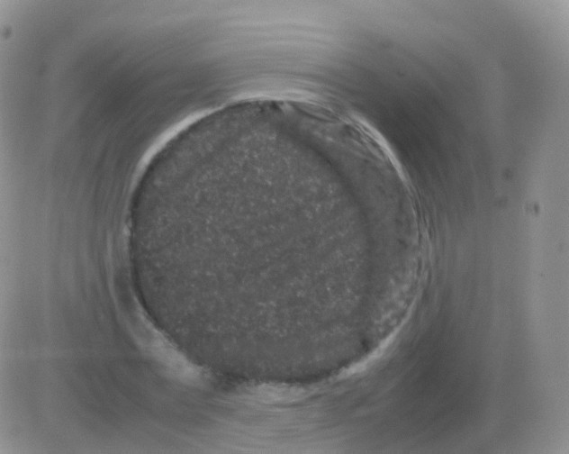 X0000082740779200702240012