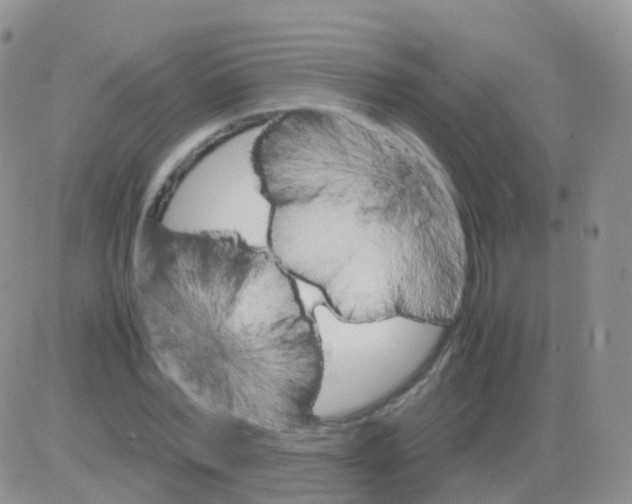 X0000082740780200702240012