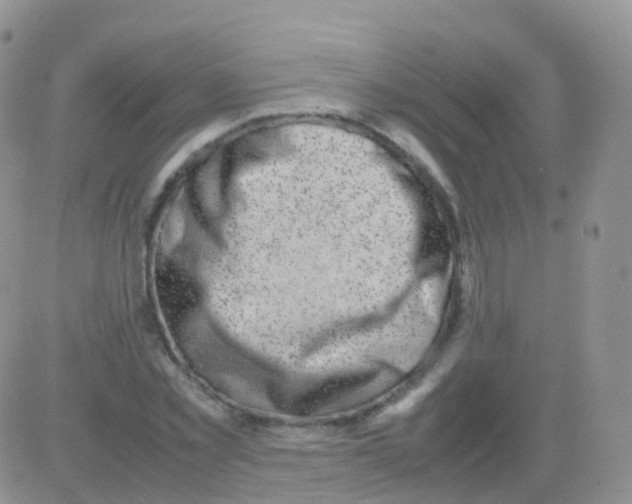 X0000082740781200702240012