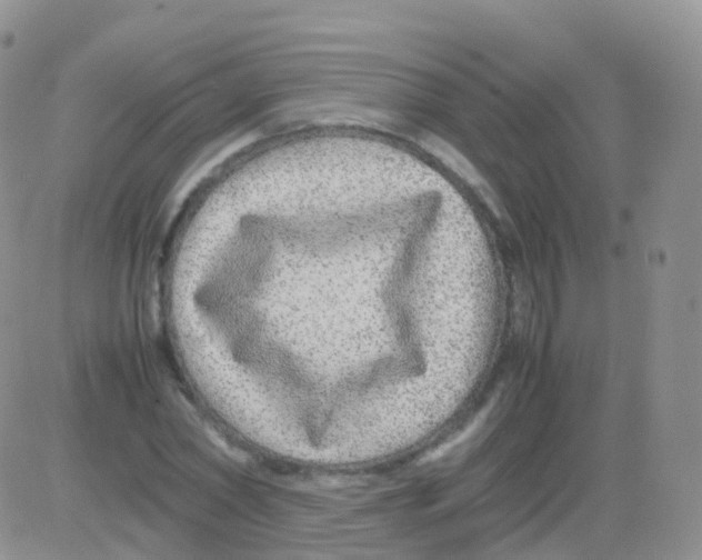 X0000082740782200702240012