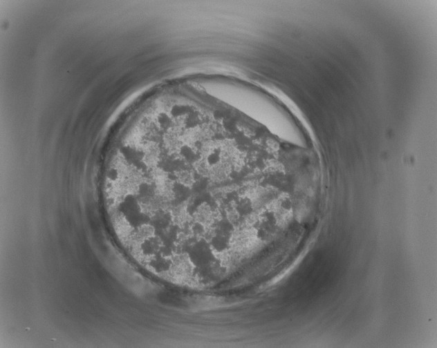 X0000082740783200702240012