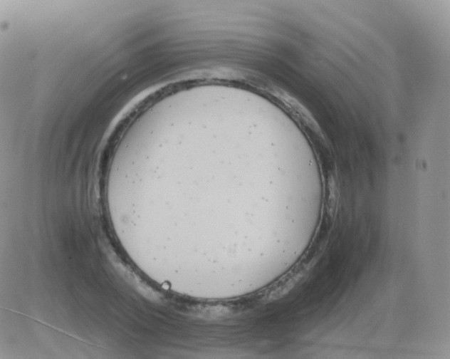 X0000082740784200702240012