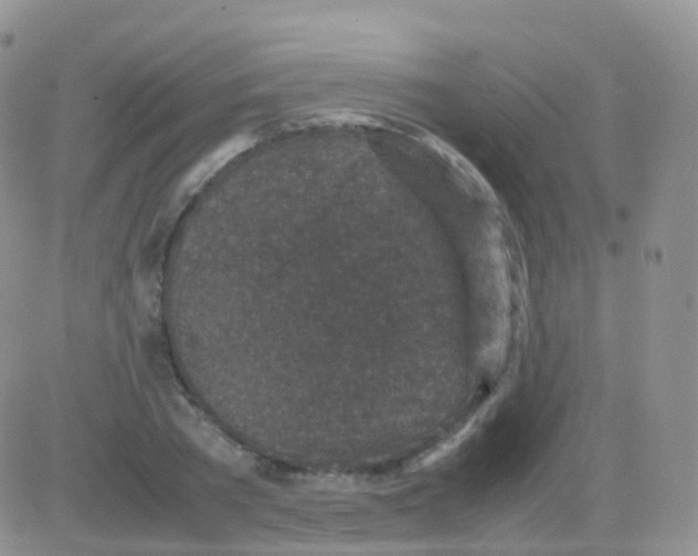 X0000082740785200702240012