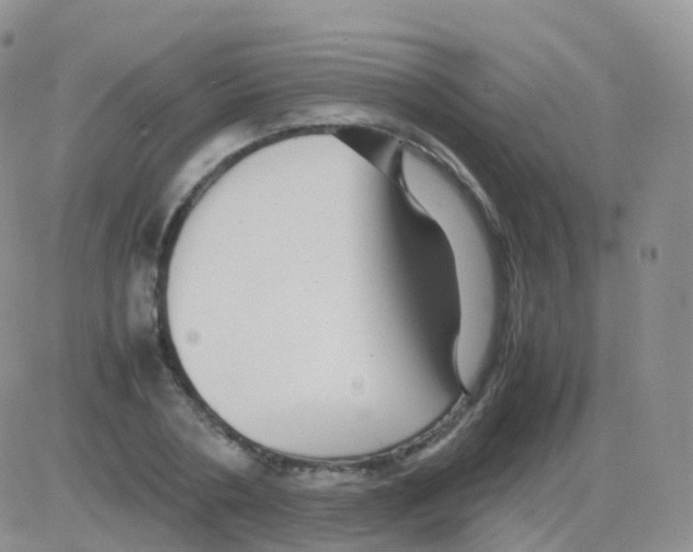 X0000082740786200702240012