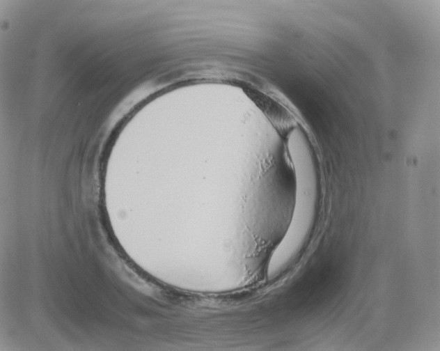 X0000082740787200702240012